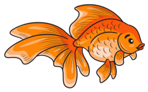 Cartoon Goldfish Picture